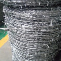 High Tensile Barbed Wire Dubbel Strand Typ